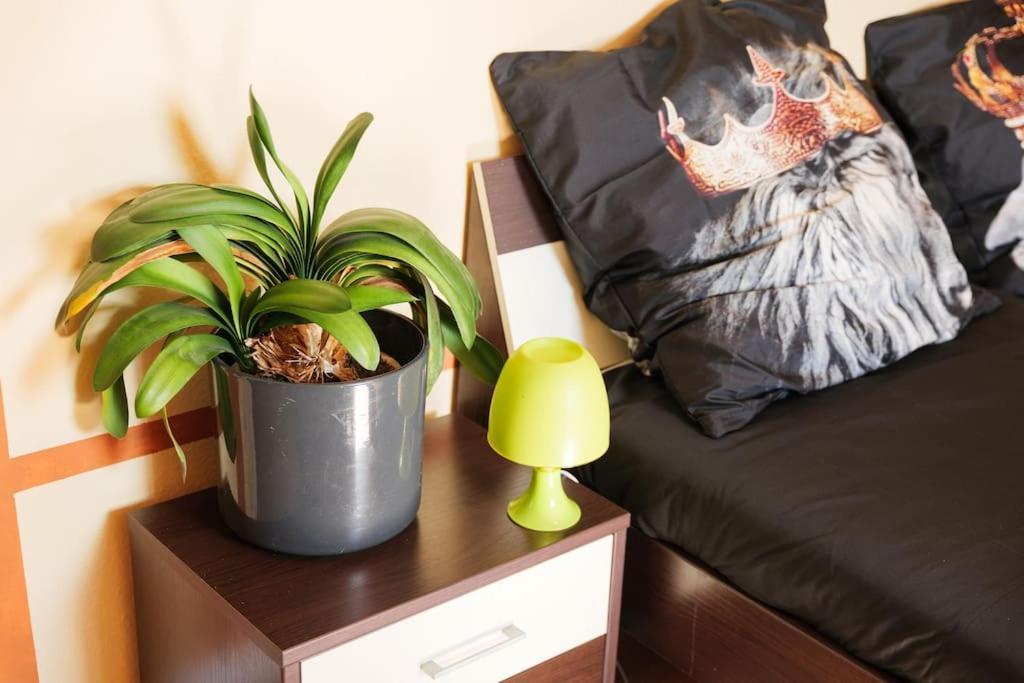 - 3-Bedroom Apartment Luxury: Central & Spacious In Duisburg & Big Tv And Kitchen - Zewnętrze zdjęcie